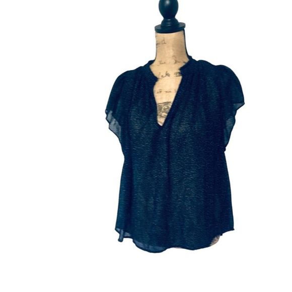 NWT Vince Starry Dot Sheer Flutter Sleeved 100% Silk Gauzy M/M Blouse 345 Retail - Picture 6 of 9